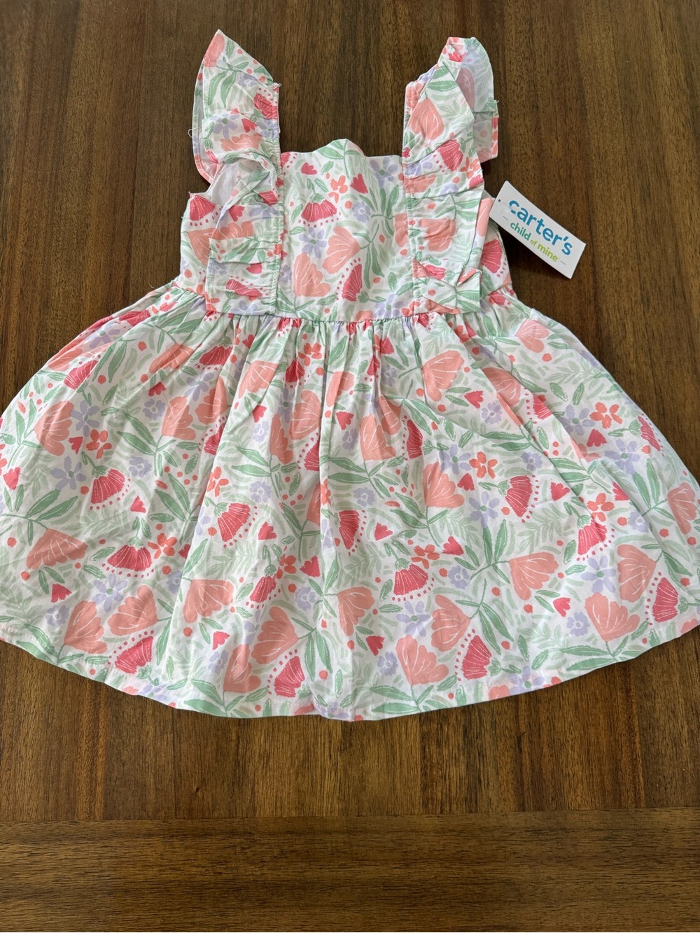Carter's Coral and Green Floral Ruffle Dress
